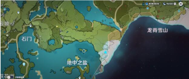 原神地中之盐怎么进