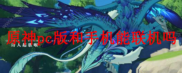  原神pc版和手机能联机吗