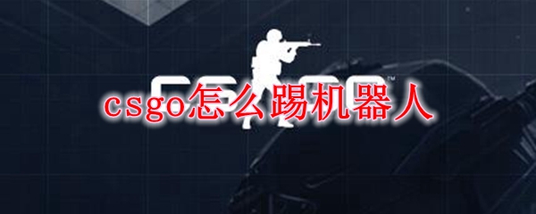 csgo怎么踢机器人