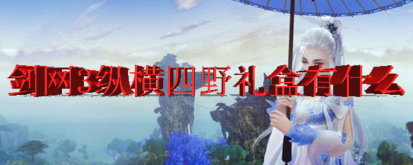 剑网3纵横四野礼盒有什么