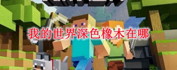我的世界深色橡木在哪