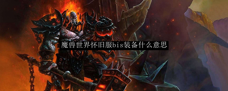魔兽怀旧服bis装备什么意思