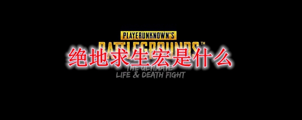 绝地求生宏是什么
