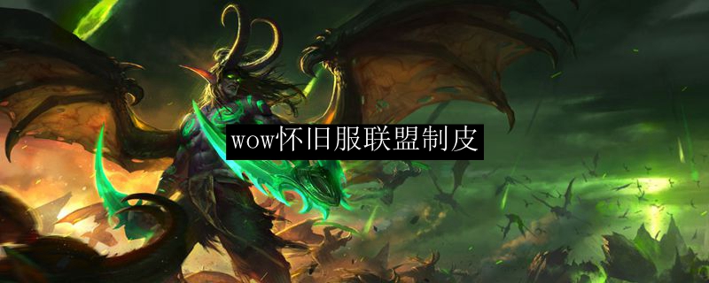 wow怀旧服联盟制皮