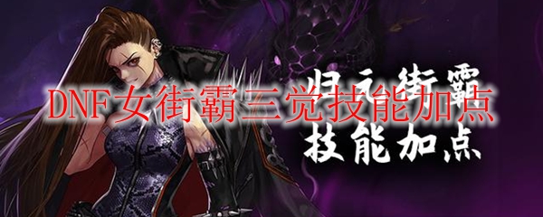 DNF女街霸三觉技能加点