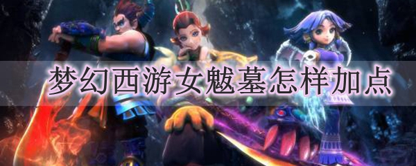 梦幻西游女魃墓怎样加点