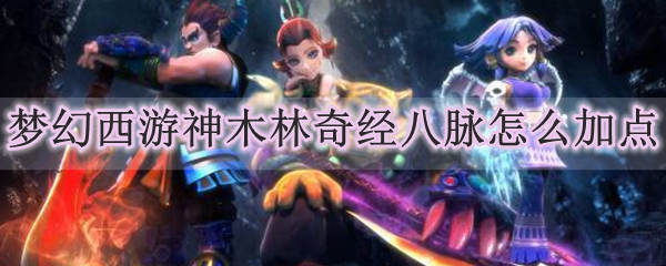 梦幻西游神木林奇经八脉怎么加点