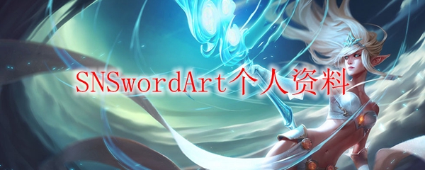 SNSwordArt个人资料