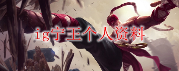 ig宁王个人资料