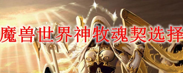 魔兽世界神牧魂契选择