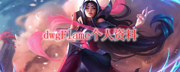 dwgFlame个人资料