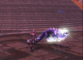魔兽世界9.0猎人可抓宠物大全