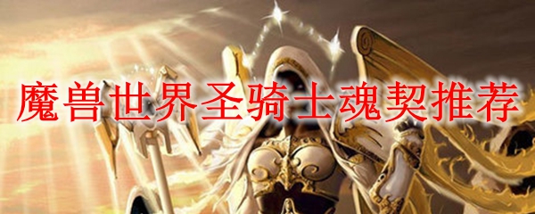 魔兽世界圣骑士魂契推荐