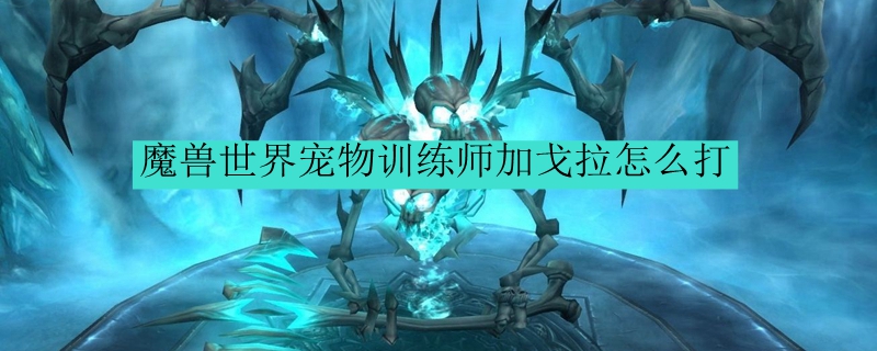 魔兽世界宠物训练师加戈拉怎么打