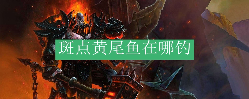 斑点黄尾鱼在哪钓