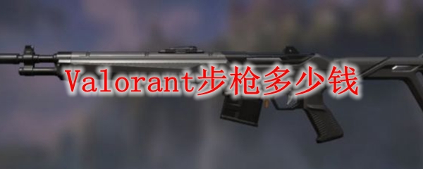 Valorant步枪多少钱