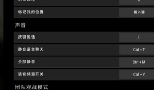 绝地求生按什么键说话