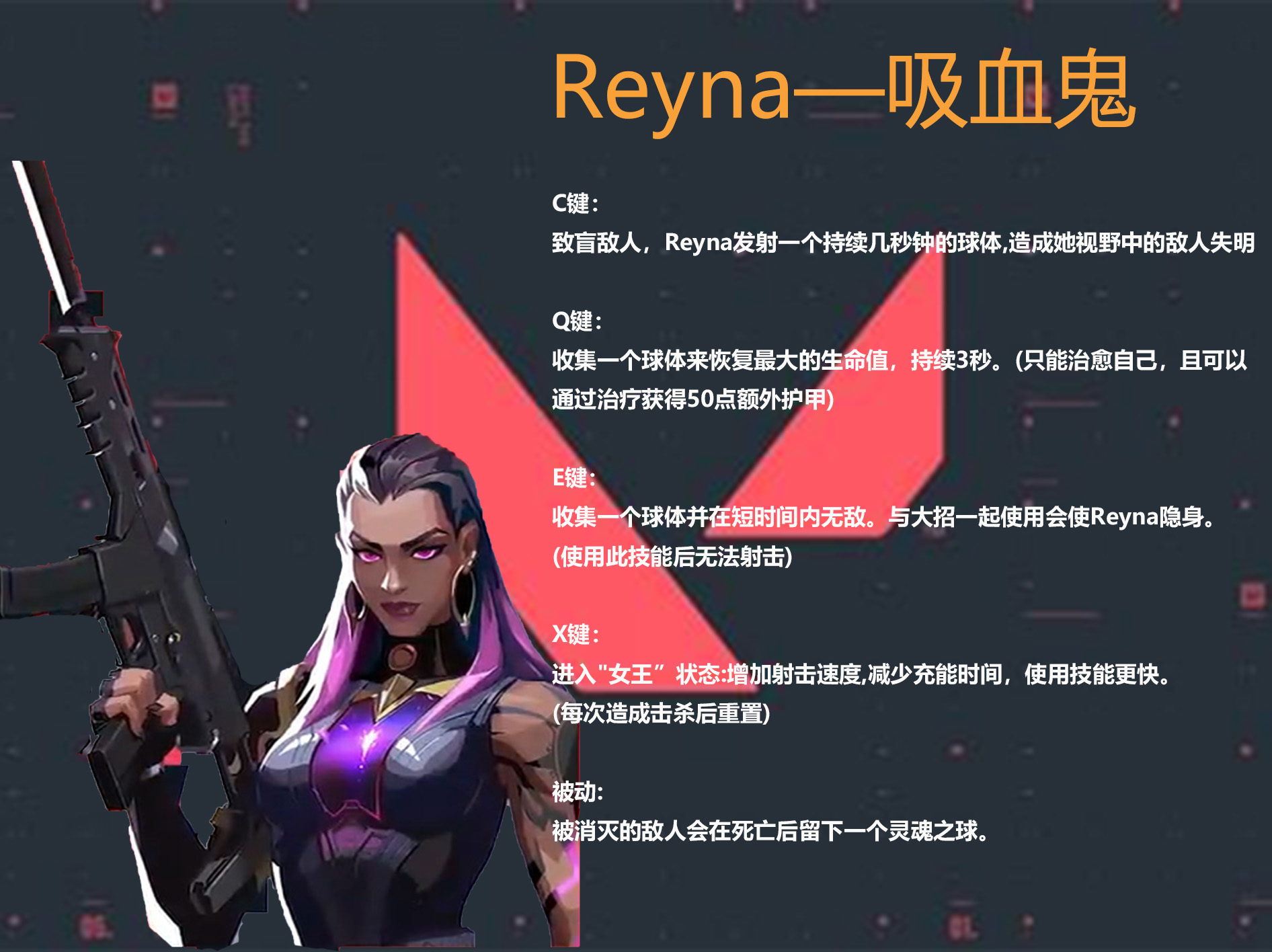 Valorant如何下载 注册 汉化及英雄技能 熊猫加速器带来大型新手攻略