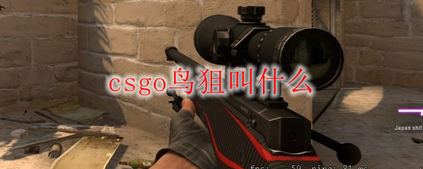 csgo鸟狙叫什么