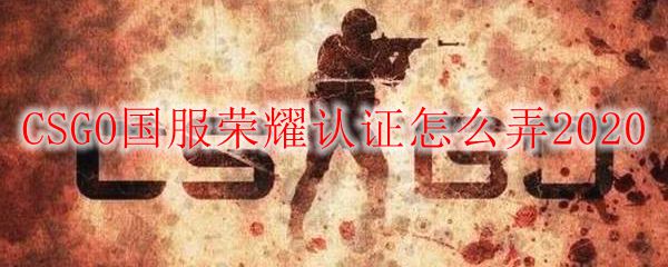CSGO国服荣耀认证怎么弄2020