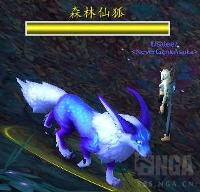 《魔兽世界》仙狐刷新位置