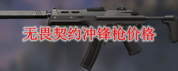 无畏契约冲锋枪价格