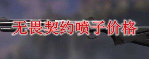 无畏契约霰弹枪多少钱