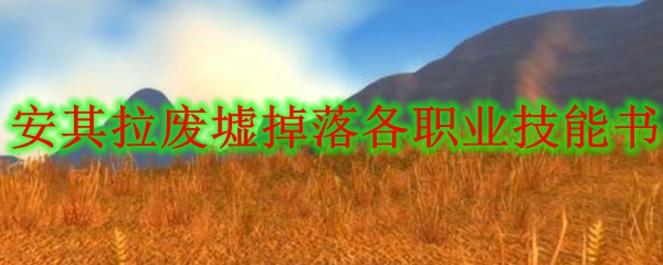 安其拉废墟掉落各职业技能书