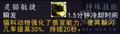 魔兽世界9.0猎人带什么宝宝