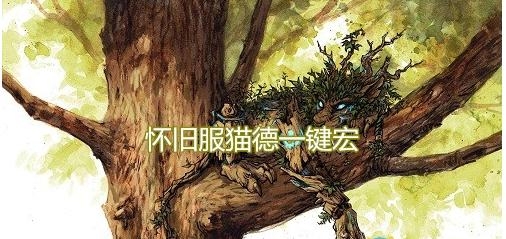 《魔兽世界》怀旧服猫德一键宏