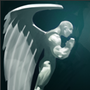 《DOTA2》全能技能介绍
