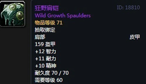 《魔兽世界》怀旧服第四阶段德鲁伊毕业装备掉落出处汇总