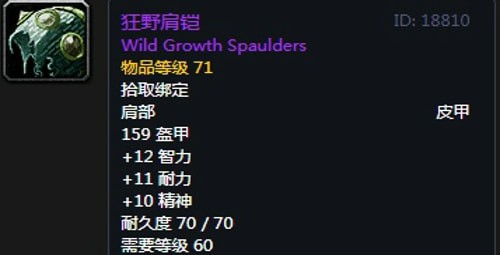 《魔兽世界》怀旧服第四阶段萨满毕业装备掉落出处汇总