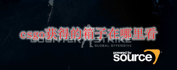 csgo获得的箱子在哪里看