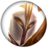 《LOL》云顶之弈种族羁绊介绍