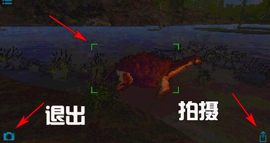 方舟拍照任务