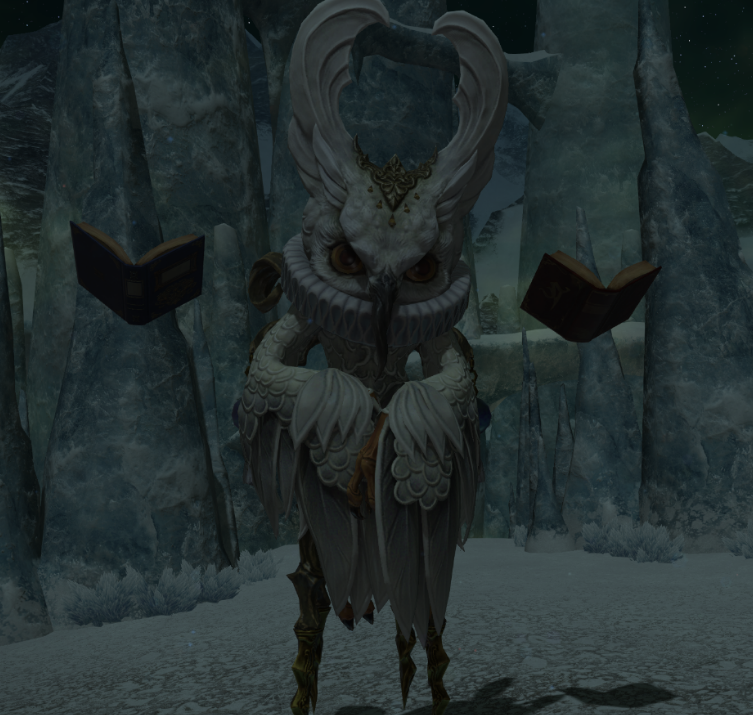 《FF14》39级NM图书守护者—阿斯卡拉福斯打法攻略