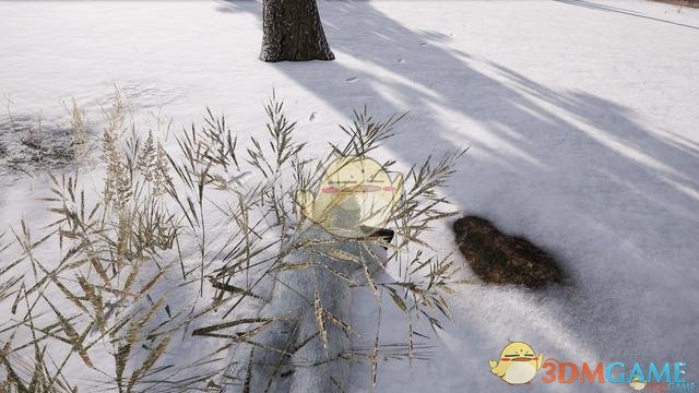 《绝地求生》雪地吉利服外观预览