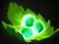 《DOTA2》狼人进阶玩法