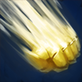 《DOTA2》斯温新手教学
