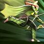 《DOTA2》风行者入门指南