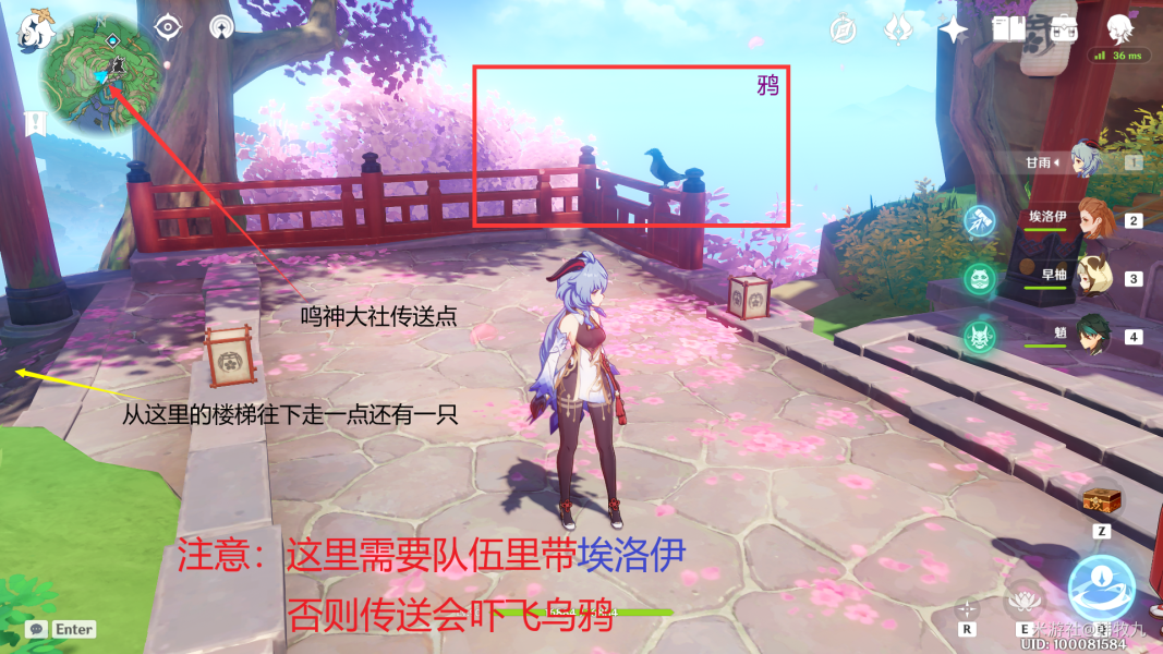 原神四方八方之网可以捕捉哪些动物