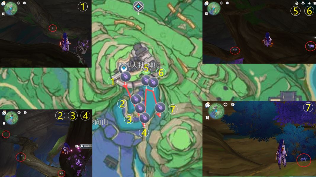 原神2.3兜兜虫采集路线