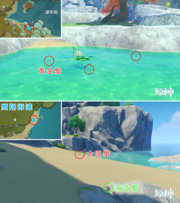 原神2.3螃蟹在哪抓