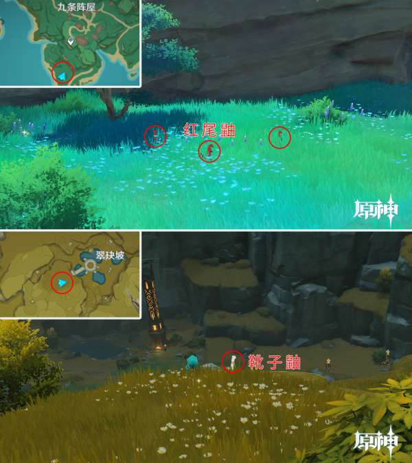 原神鼬类在哪
