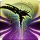 FF14钐镰师怎么玩