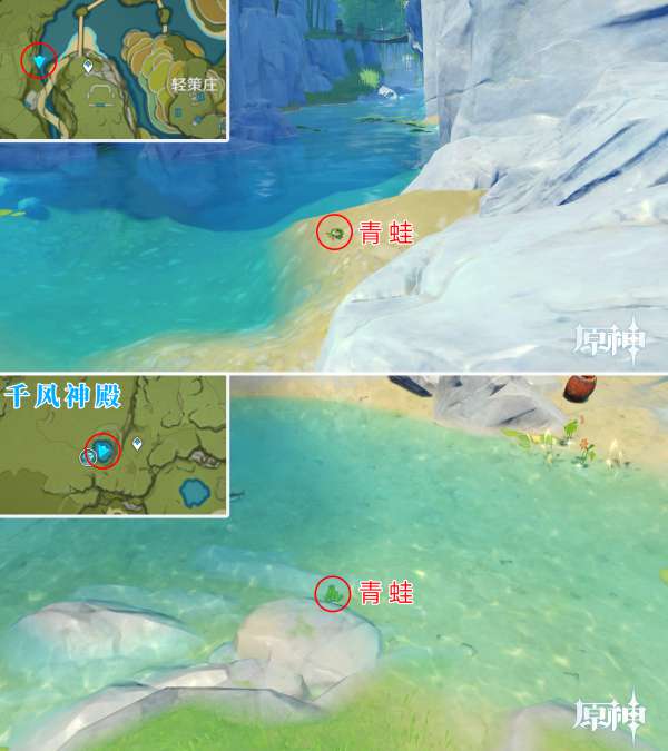 原神蛙类在哪抓