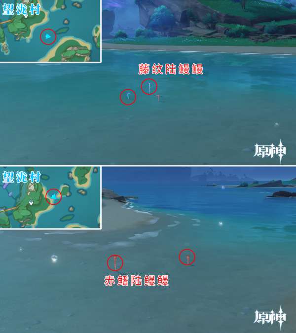 原神陆鳗鳗在哪抓