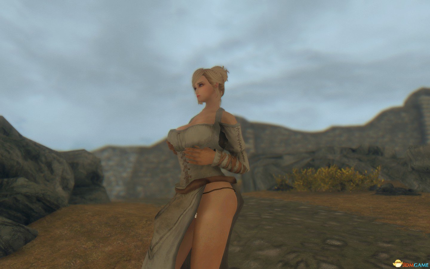 上古卷轴5天际原版装甲替换mod