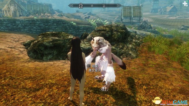 上古卷轴5天际污美女狼人坐骑